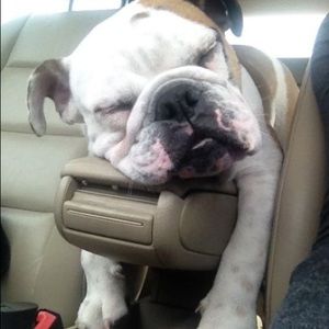 Meet your Posher, Lori